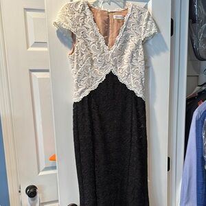 Elegant Lace Black and White Dress